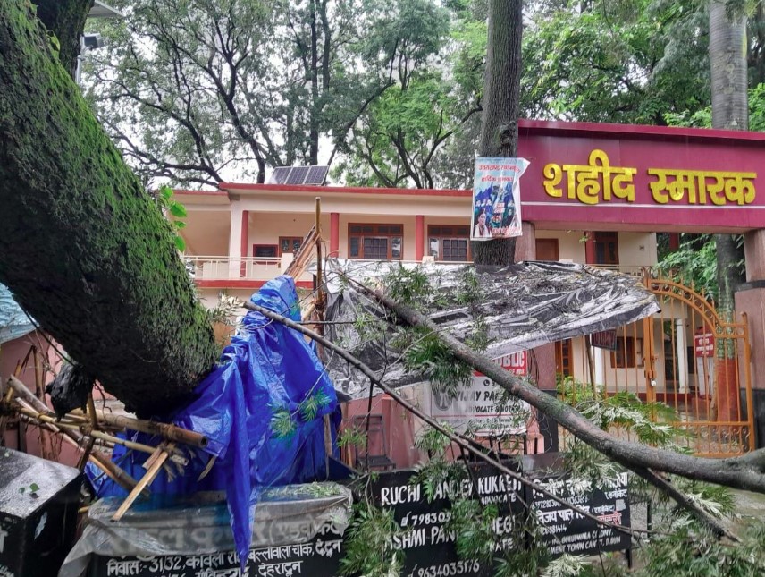 देहरादून कचहरी परिसर में गिरा विशाल पेड़, स्टांप विक्रेता की दुकान हुई ध्वस्त