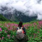 फूलों की घाटी में इस बार घटे भारतीय पर्यटक, राजस्व पर पड़ा असर