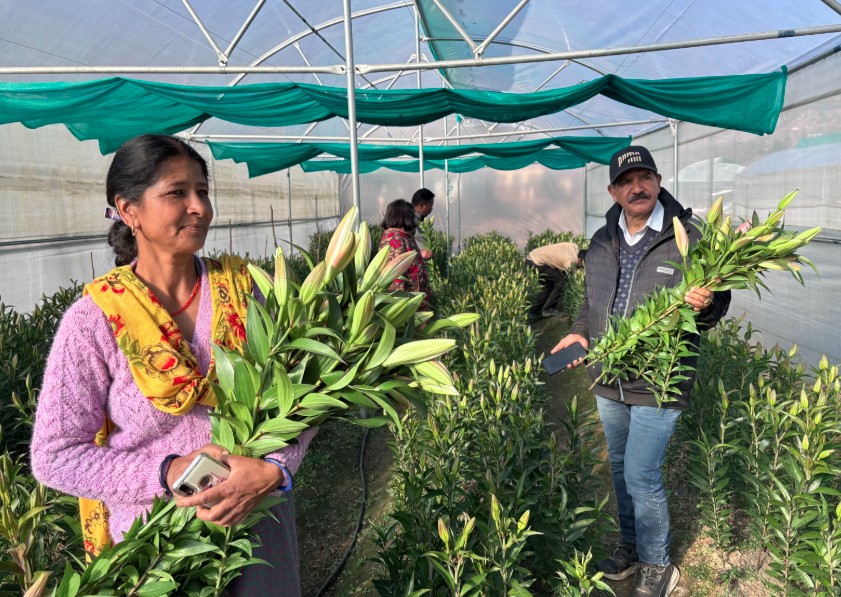 उद्यमिता से स्वरोजगार बढ़ाकर पलायन रोक रही ग्रामोत्थान परियोजना