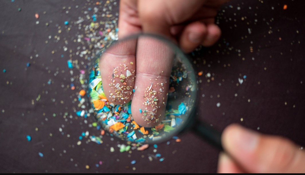 माइक्रोप्लास्टिक- छोटे कण, बड़ा नुकसान – जानिए कैसे प्रभावित हो रही आपकी सेहत