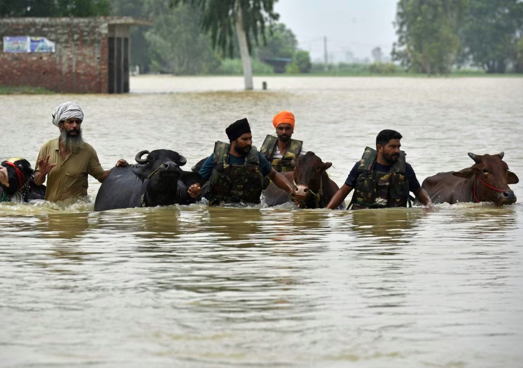 पंजाब में बारिश से तबाही, 23 जिलों के 1400 से ज्यादा गांव बाढ़ की चपेट में