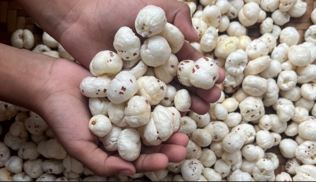 क्या आप भी करते हैं मखाने का अत्यधिक सेवन? अगर हां, तो जान लीजिये इसके नुकसान