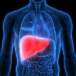 फैटी लिवर का खतरा- चीनी ही नहीं, किचन की ये आम चीजें भी बना रही हैं लिवर को बीमार