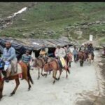 केदारनाथ धाम यात्रा की तैयारियां तेज, घोड़े-खच्चरों का पंजीकरण शुरू