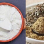 गर्मी में क्यों फायदेमंद है दही- भुना जीरा, आइये जानते हैं क्या कहते है स्वास्थ्य विशेषज्ञ